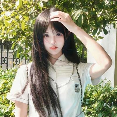蝶舞莺歌